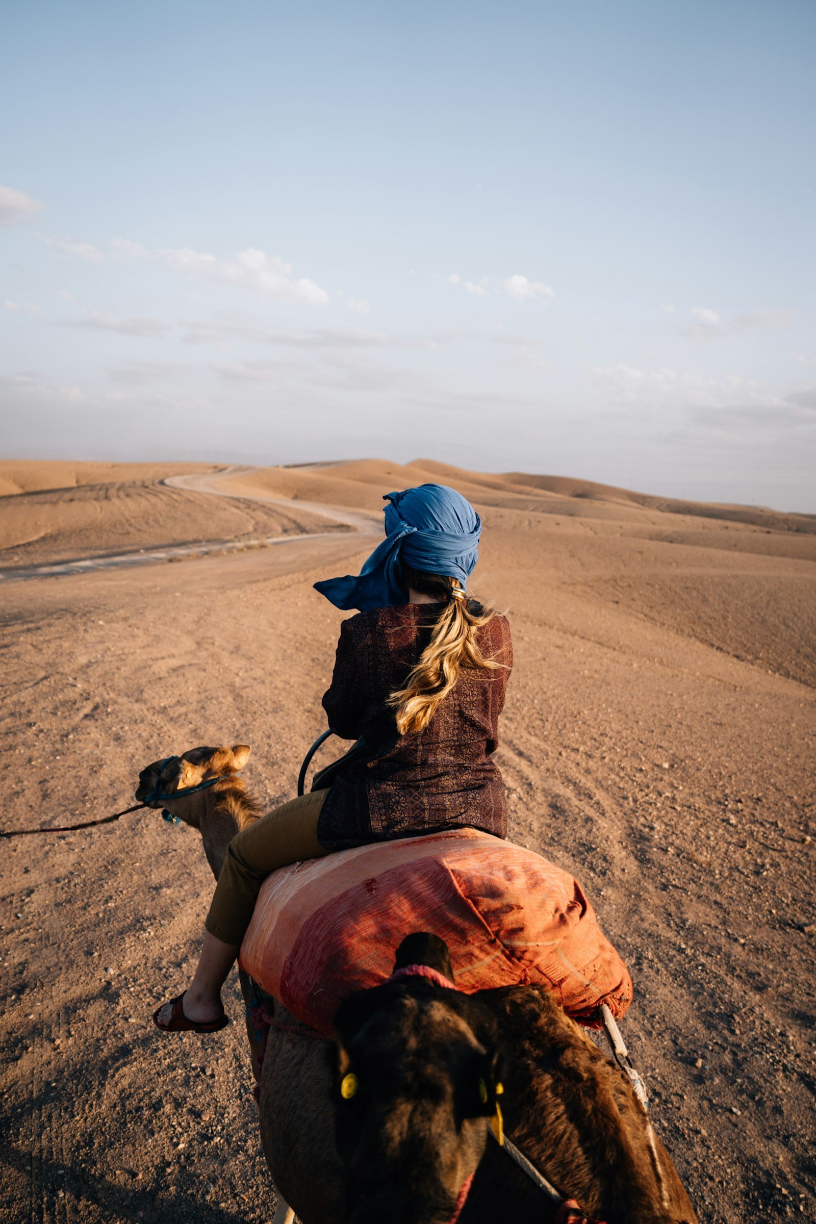 Camel trek through the desert near Marrakech at sunset